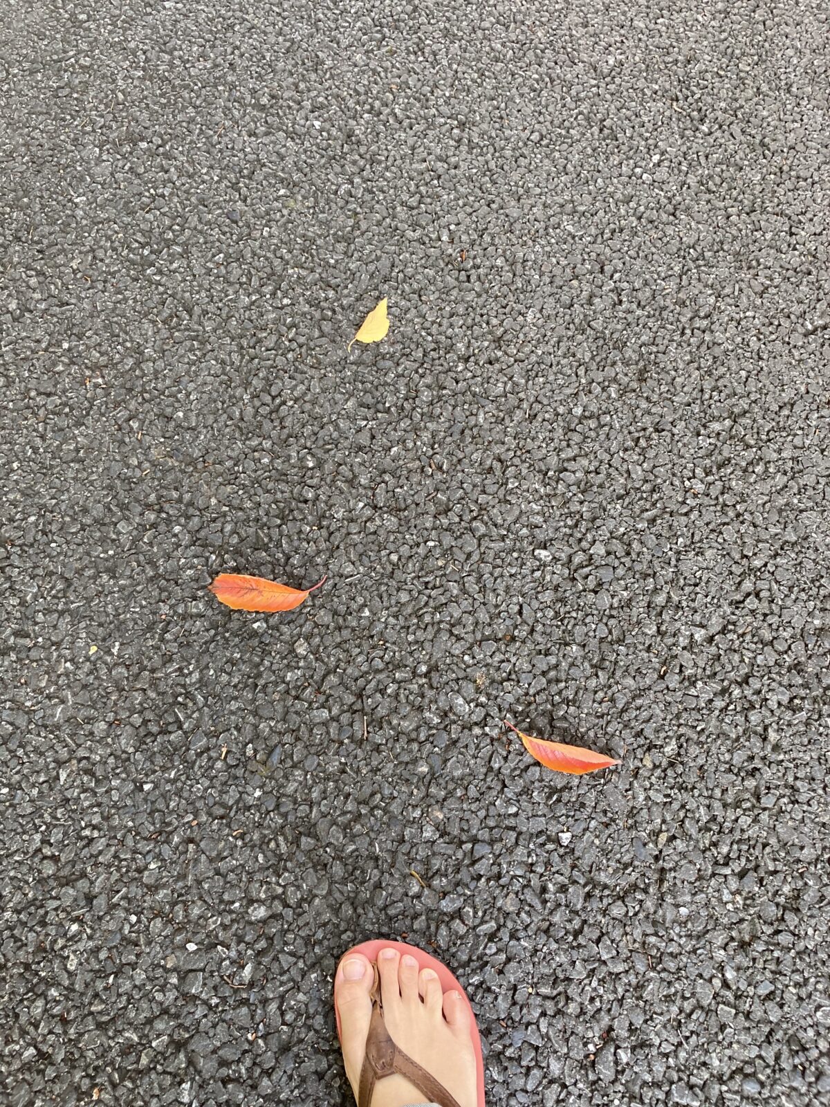 12月研修